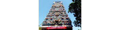 071. திருநெடுங்களம்